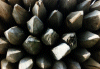 Wooden spears